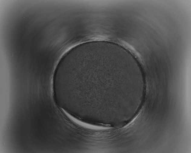 X0000094961174200712061305