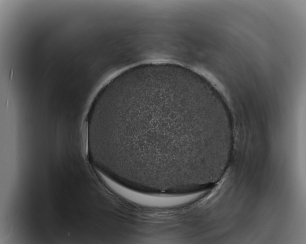 X0000094961175200712061305