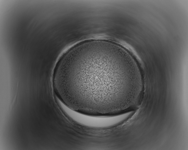 X0000094961176200712061305