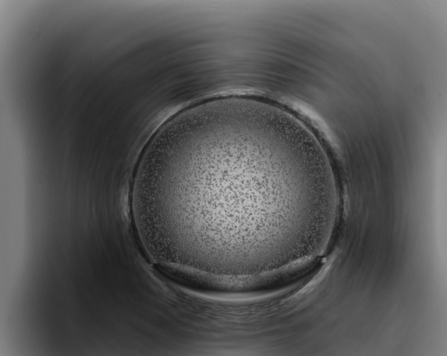 X0000094961177200712061305