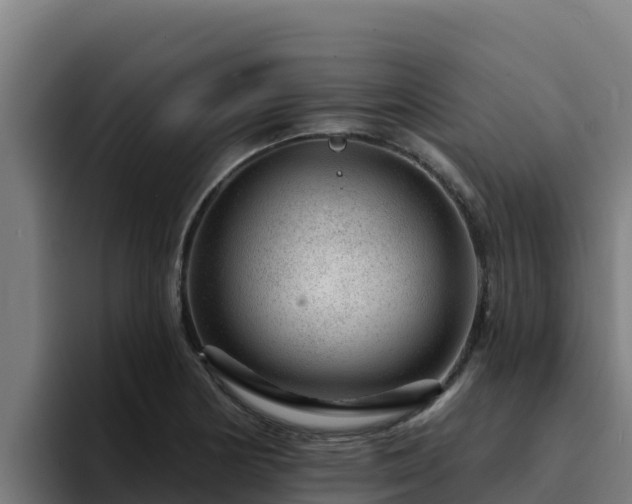 X0000094961178200712061305