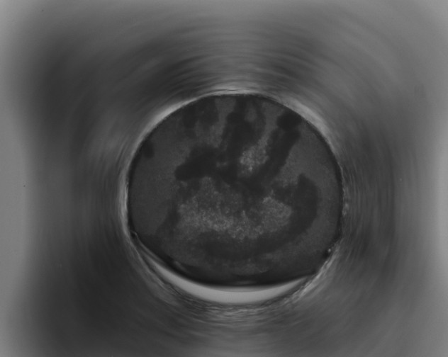 X0000094961179200712061305