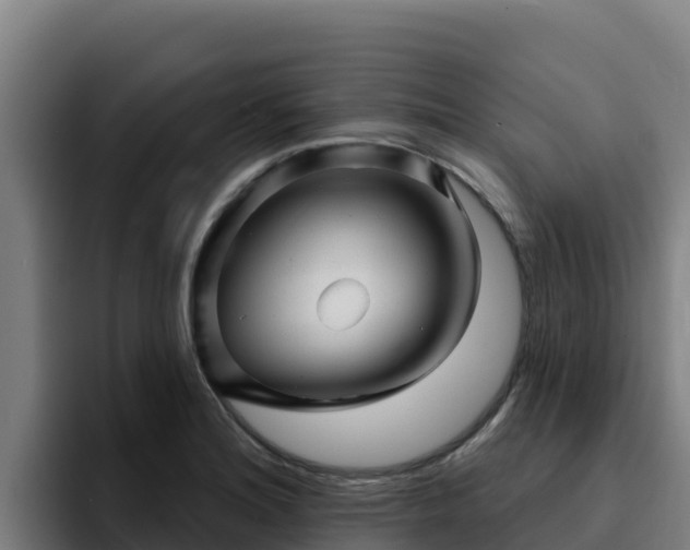 X0000094961180200712061305