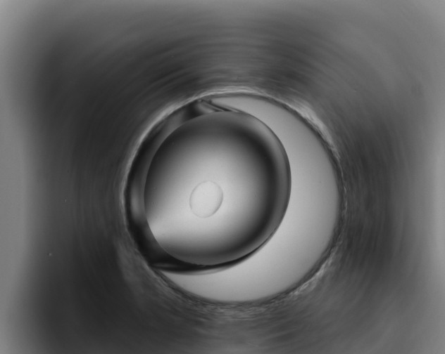 X0000094961181200712061305