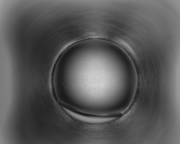 X0000094961182200712061305