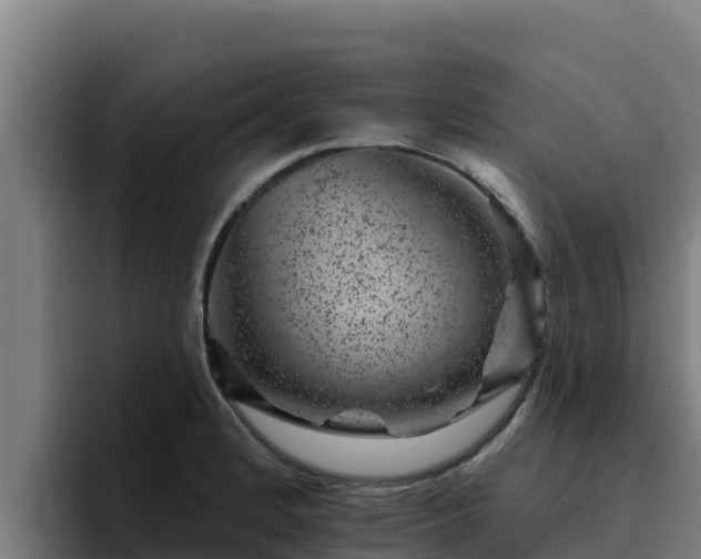 X0000094961184200712061305