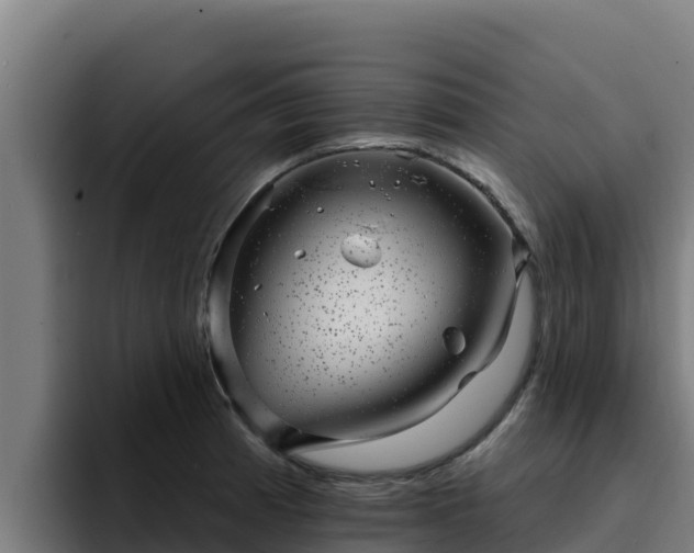 X0000094961185200712061305