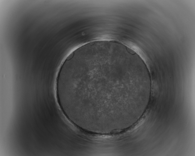 X0000094961187200712061305