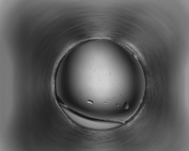 X0000094961188200712061305