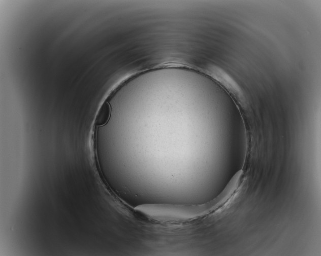 X0000094961190200712061305