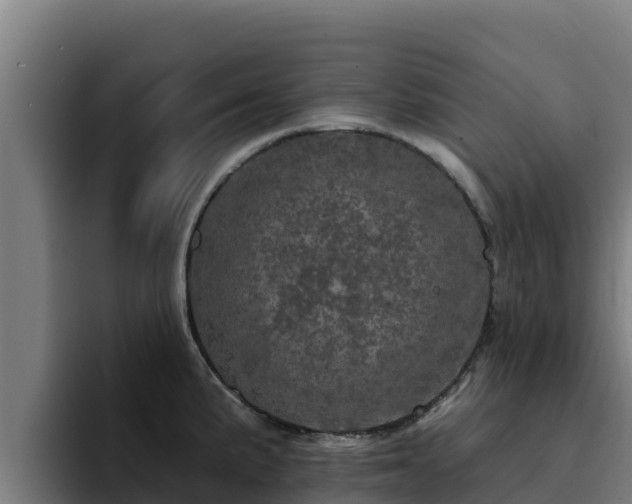 X0000094961191200712061305