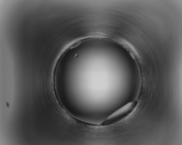 X0000094961192200712061305