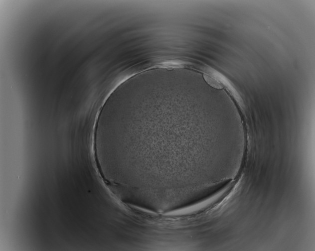 X0000094961194200712061305