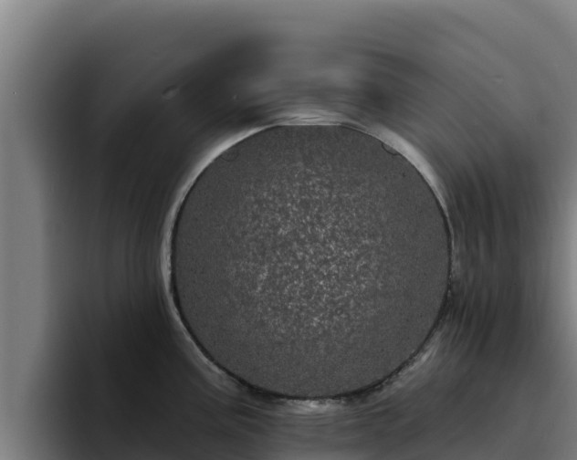 X0000094961195200712061305