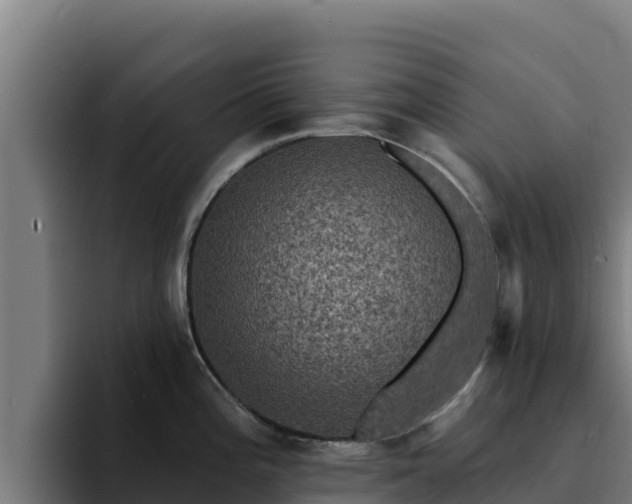 X0000094961196200712061305