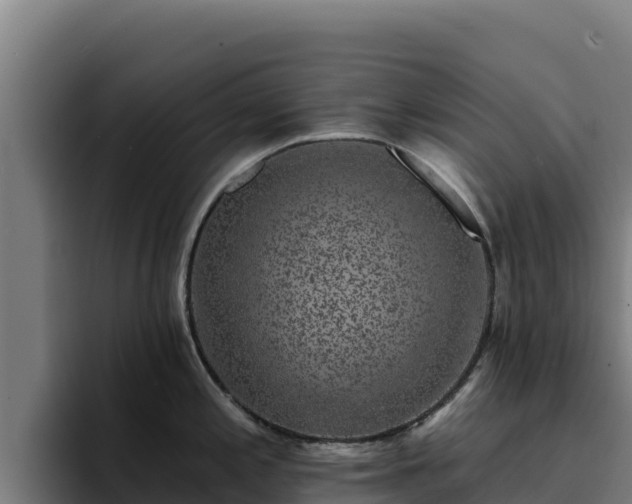 X0000094961197200712061305