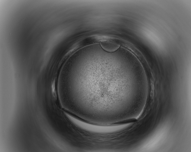 X0000094961198200712061305