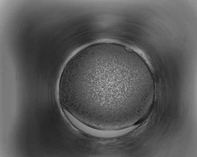 X0000094961199200712061305