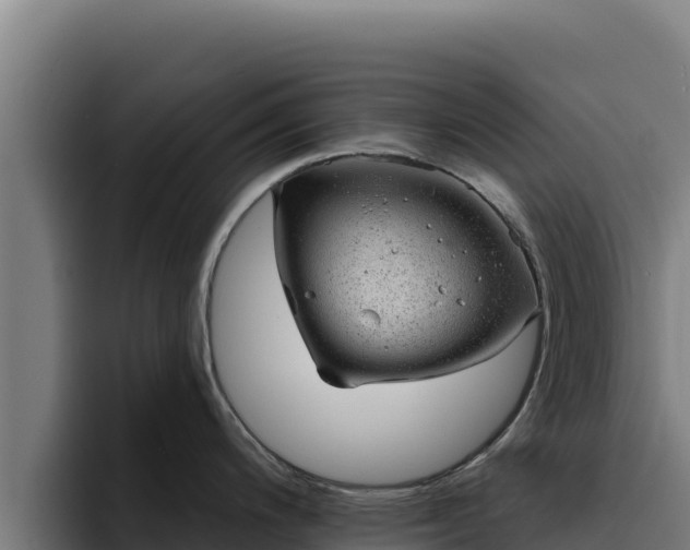 X0000094961200200712061305