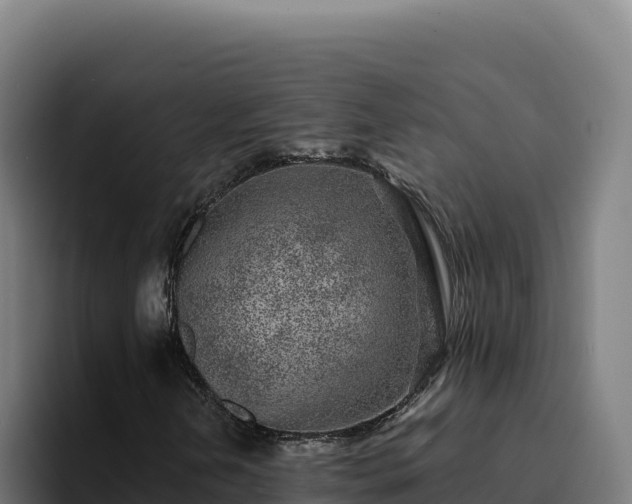 X0000094961202200712061305