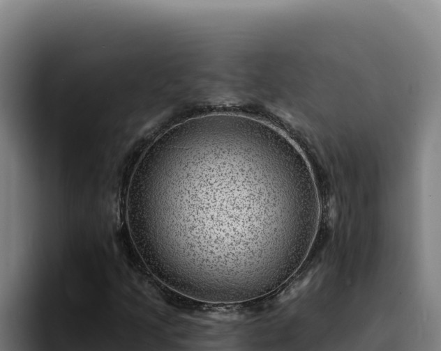 X0000094961205200712061305