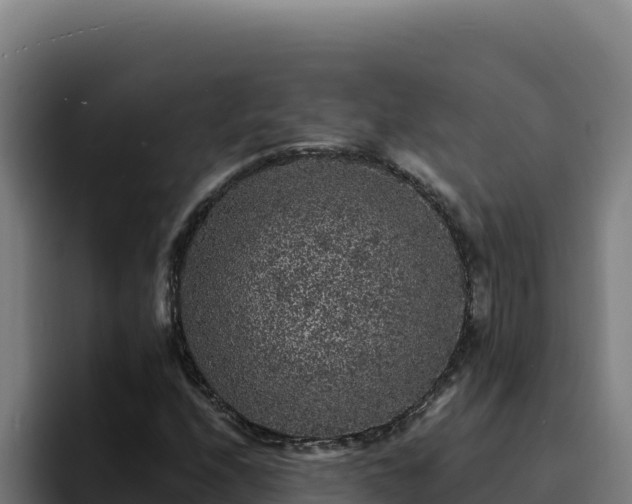 X0000094961208200712061305