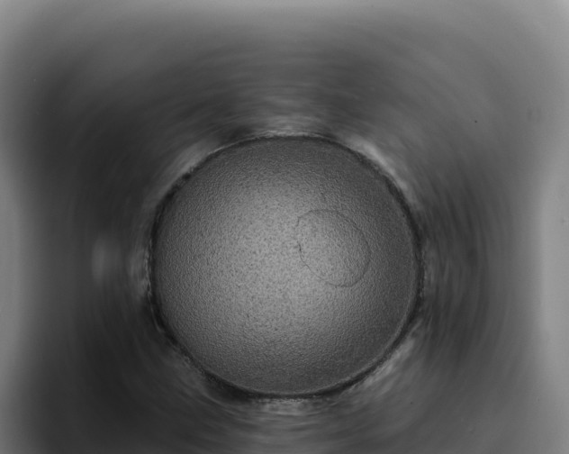 X0000094961211200712061305