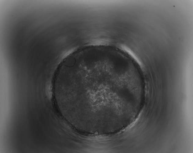 X0000094961213200712061305