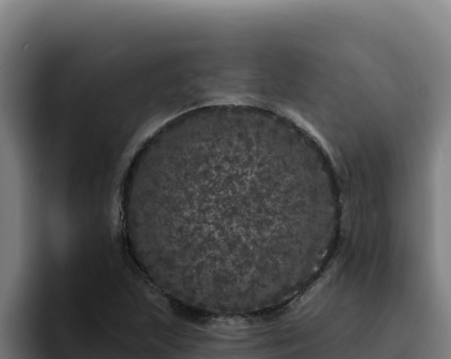 X0000094961215200712061305