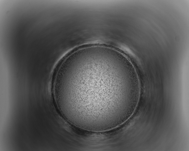 X0000094961216200712061305