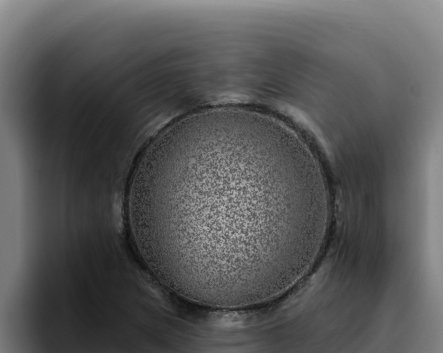 X0000094961217200712061305