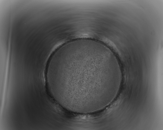 X0000094961218200712061305