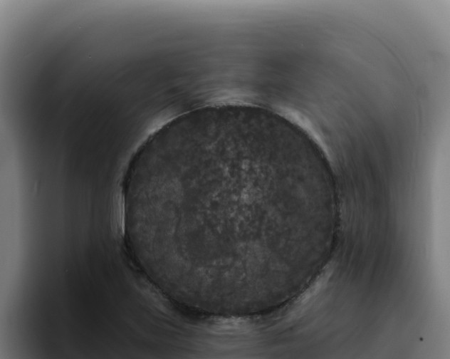 X0000094961219200712061305