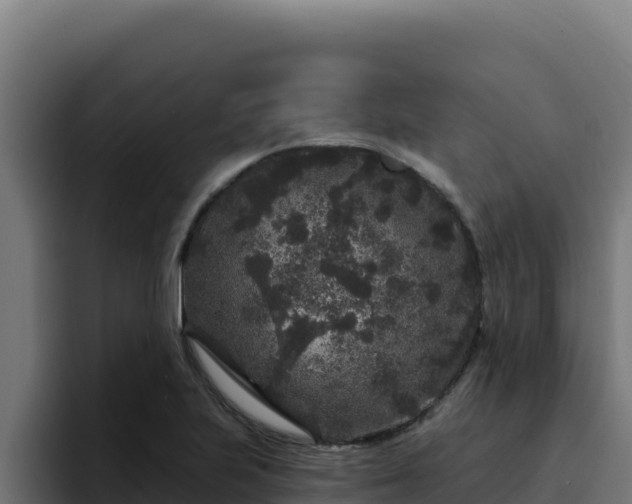 X0000094961223200712061305