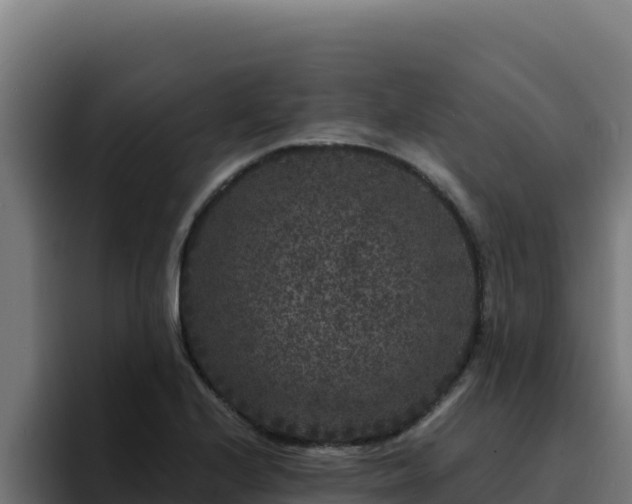 X0000094961224200712061305