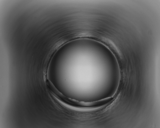 X0000094961225200712061305