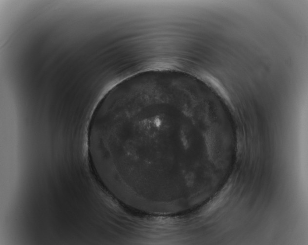 X0000094961226200712061305