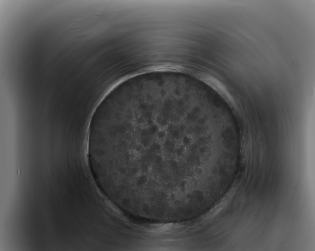 X0000094961228200712061305