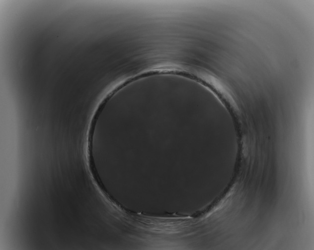 X0000094961229200712061305