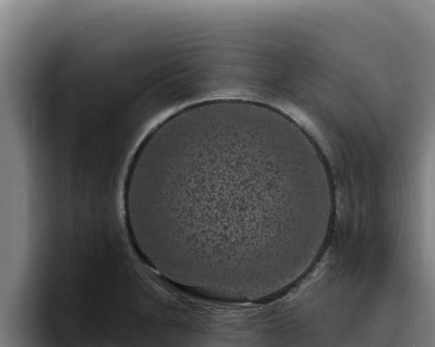 X0000094961230200712061305