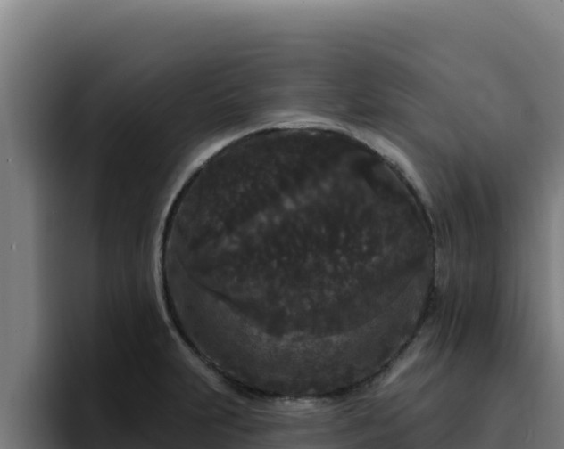 X0000094961231200712061305