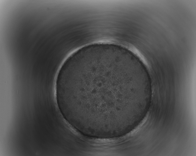 X0000094961232200712061305