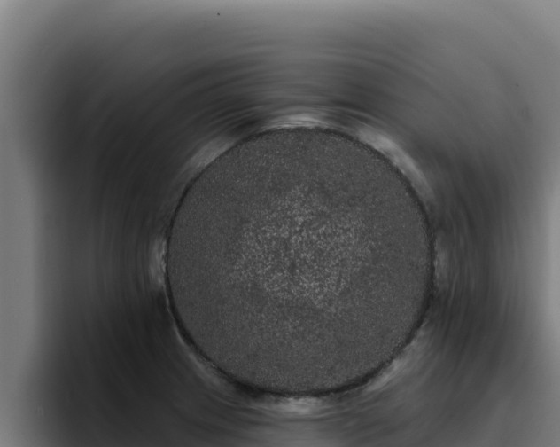 X0000094961233200712061305