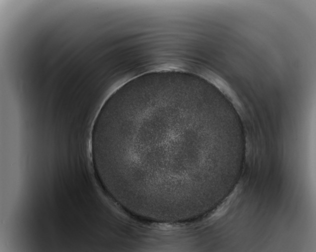 X0000094961234200712061305