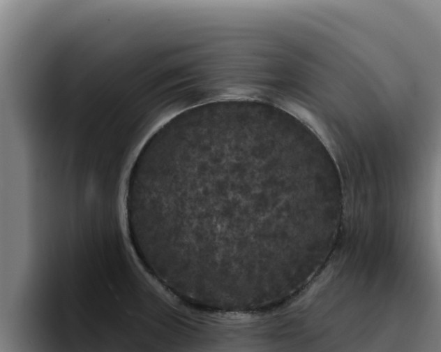 X0000094961235200712061305