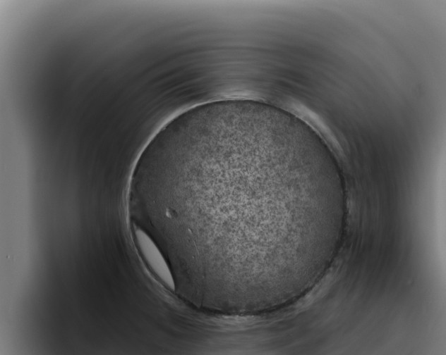 X0000094961236200712061305