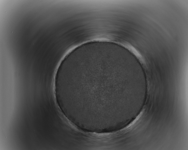 X0000094961240200712061305