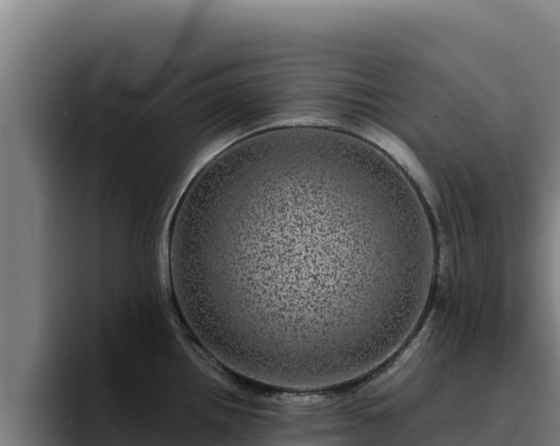 X0000094961242200712061305