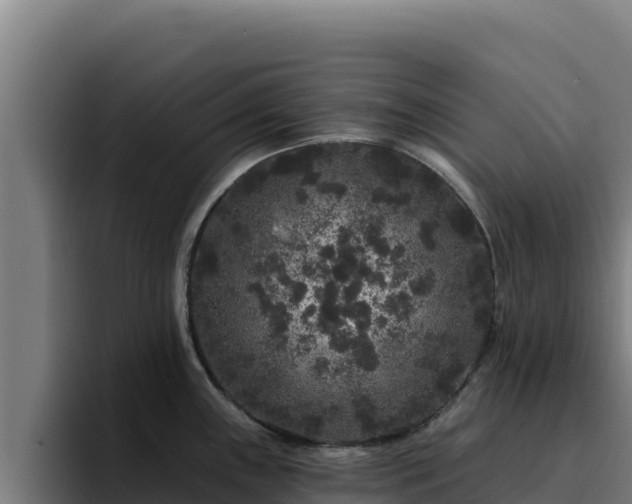 X0000094961243200712061305