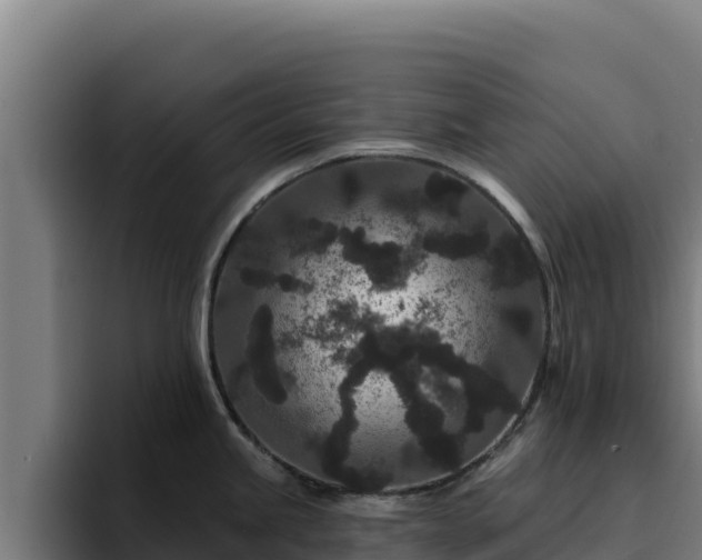 X0000094961245200712061305